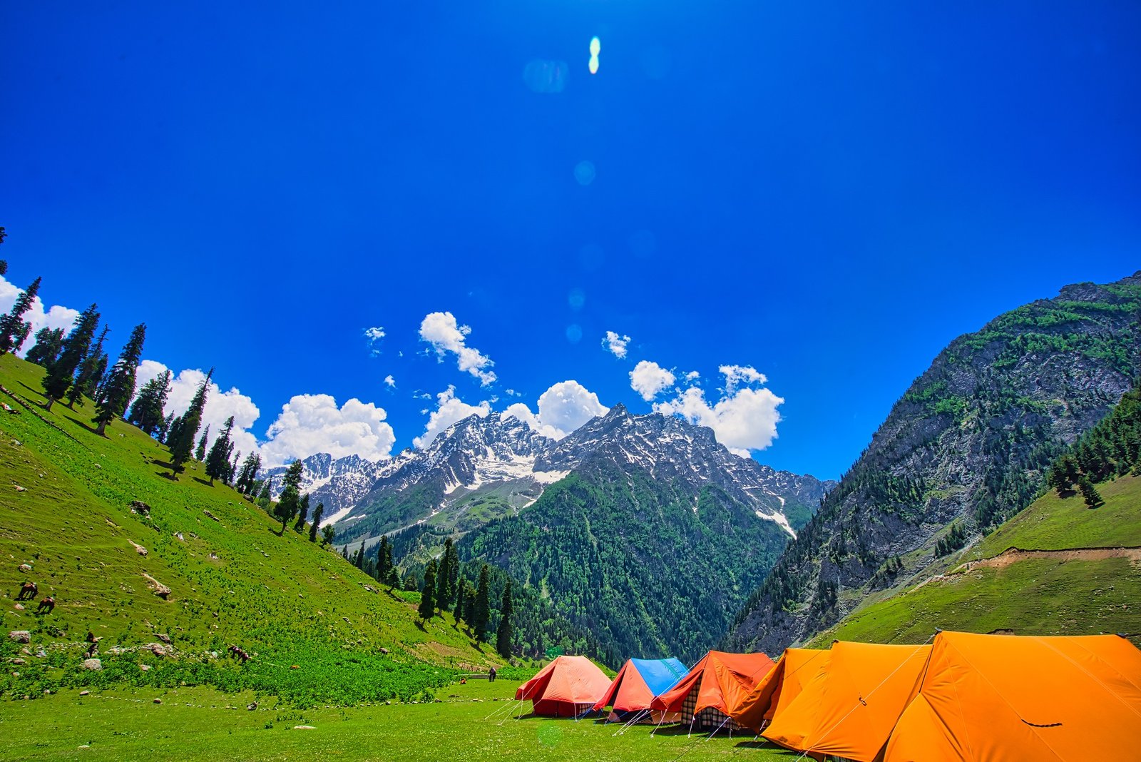 Blue,Sky,And,White,Clouds,,Beautiful,Scenery.,Camping,In,The