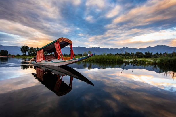 The beauty of Dal lake and the beautiful Shikaras during sunrise and sunset is the most charming thing in Kashmir